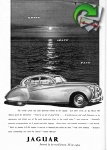 Jaguar 1952 0.jpg